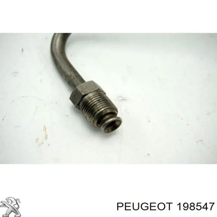 198547 Peugeot/Citroen Трубка топливная, от ТНВД к топливной рейке