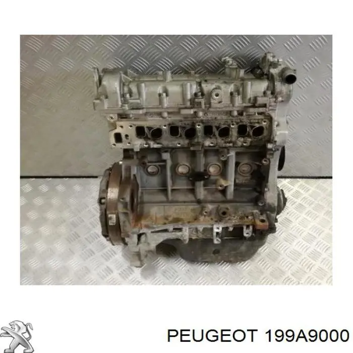 199A9000 Peugeot/Citroen motor montado