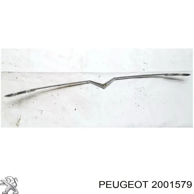 2001579 Peugeot/Citroen 