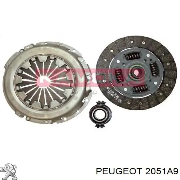 Купить 2051A9 Peugeot/Citroen Комплект сцепления (диск, корзина, подшипник)