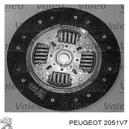  2051V7 Peugeot/Citroen