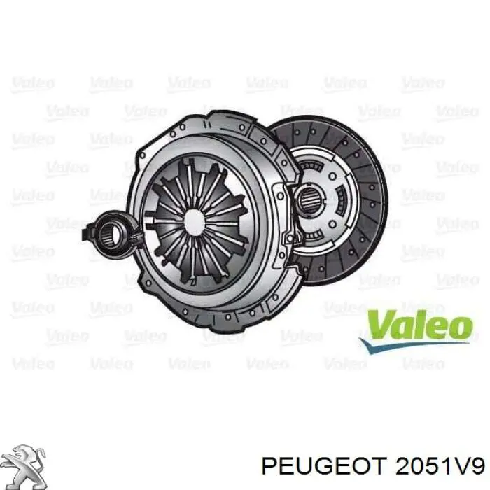 2051V9 Peugeot/Citroen 