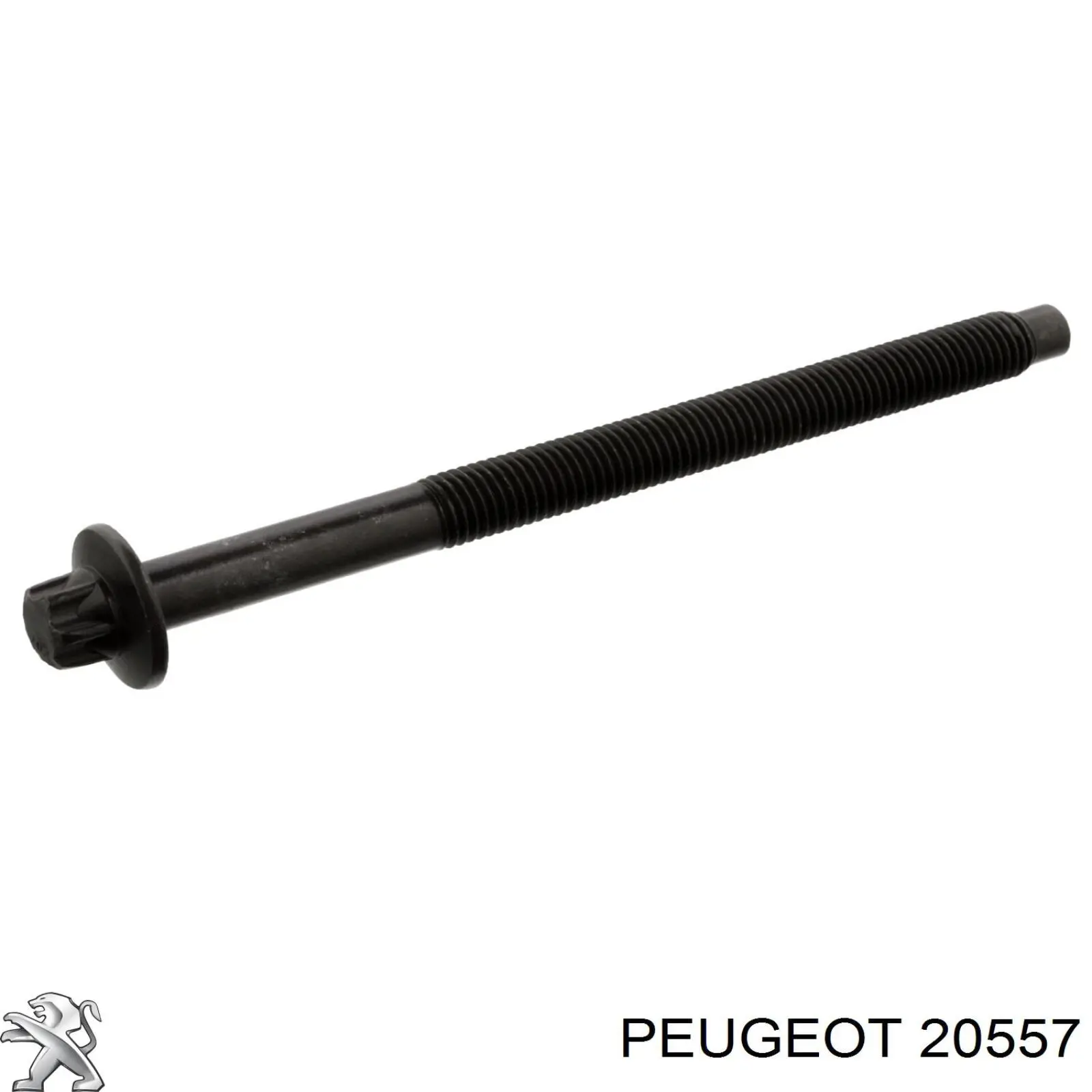 Болт головки блока цилиндров (ГБЦ) Peugeot/Citroen 20557