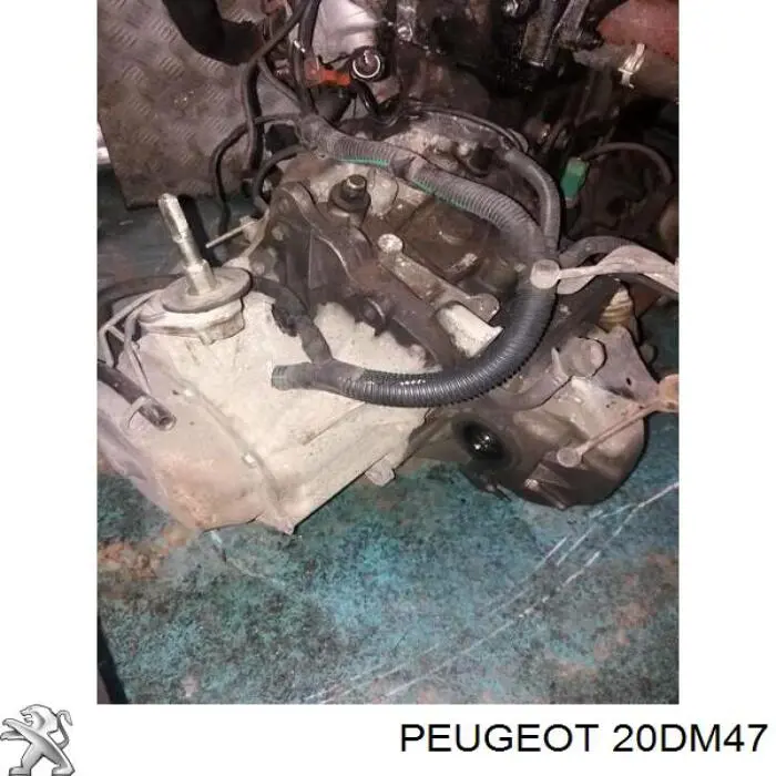 Compre Caixa de Mudança montada (caixa mecânica de velocidades) Citroen ZX 