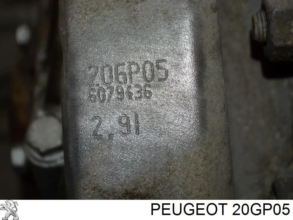  20GP05 Peugeot/Citroen