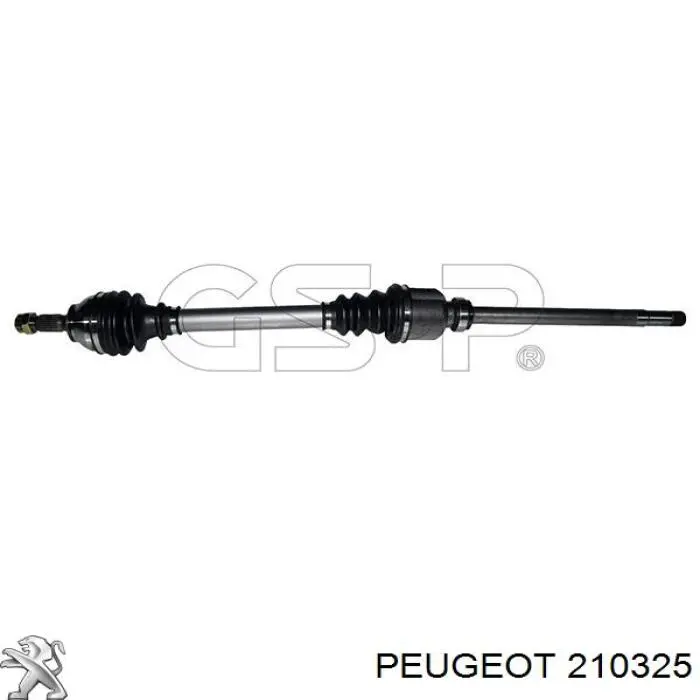 210325 Peugeot/Citroen 