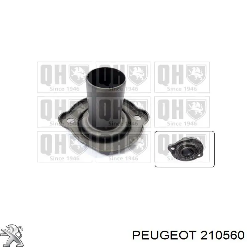 Guía de directa de caja de cambios 210560 Peugeot/Citroen