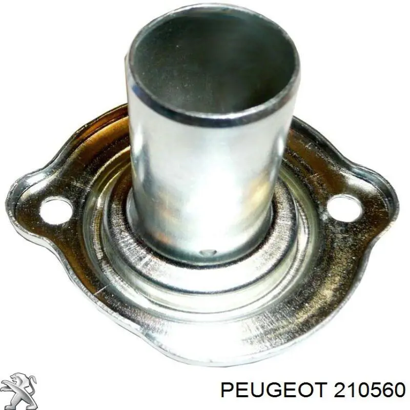 210560 Peugeot/Citroen