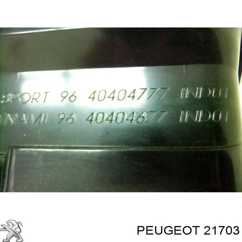 021703 Peugeot/Citroen 