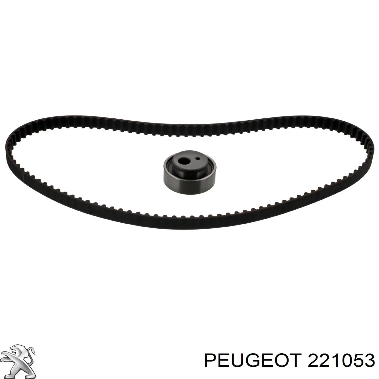 221053 Peugeot/Citroen parafuso (porca de fixação)