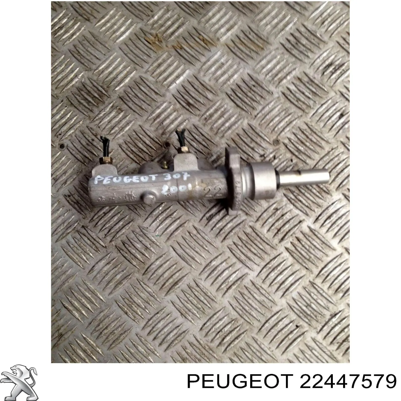 22447579 Peugeot/Citroen 