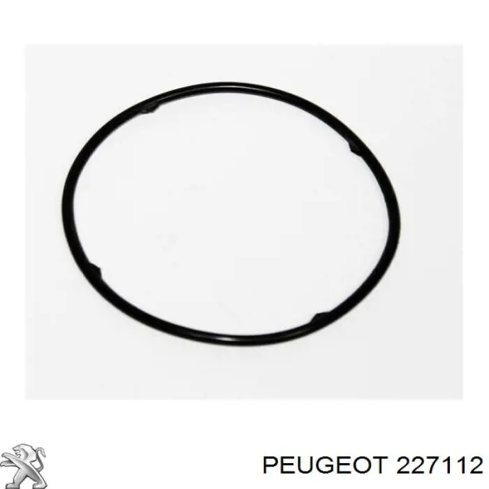 227112 Peugeot/Citroen vedante anular de filtro da caixa automática de mudança