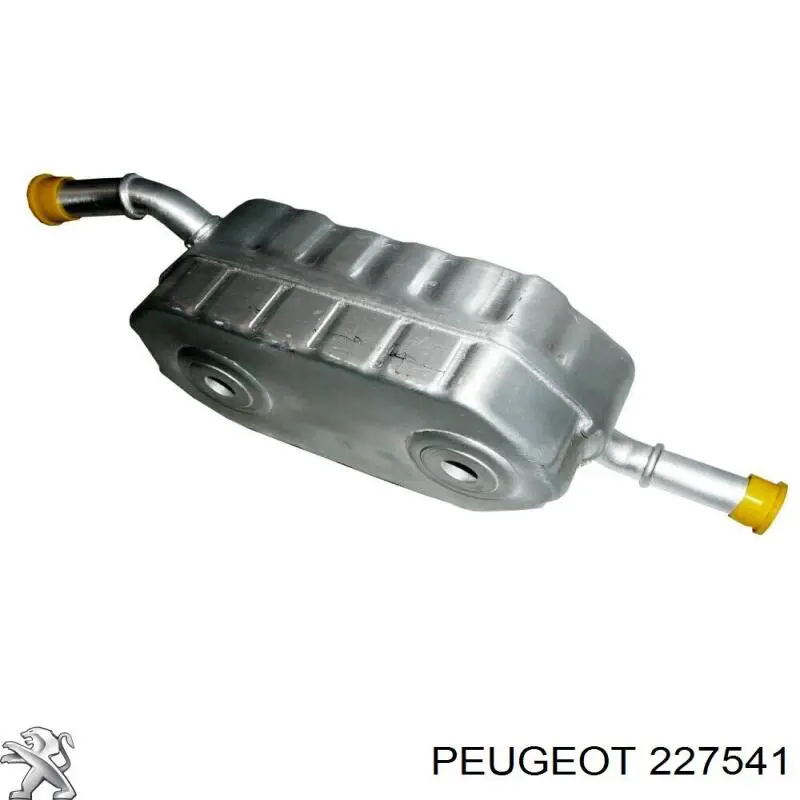 227541 Peugeot/Citroen