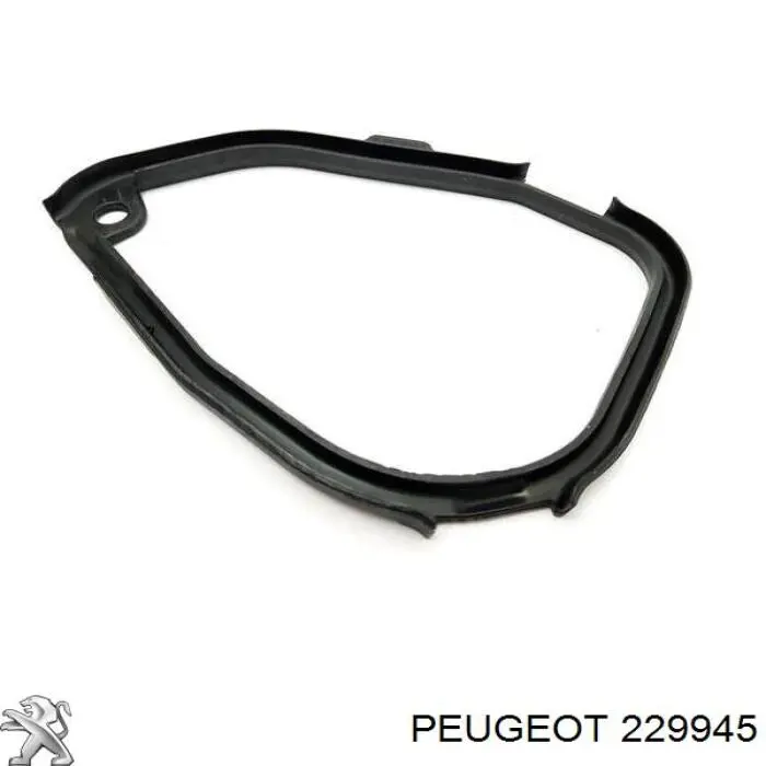 Купить 229945 Peugeot/Citroen Ремкомплект коробки передач