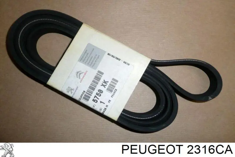 FT62405 Fast Зубчатые передачи и валы