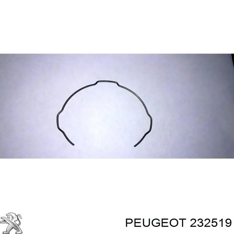 232519 Peugeot/Citroen пружина синхронизатора кпп