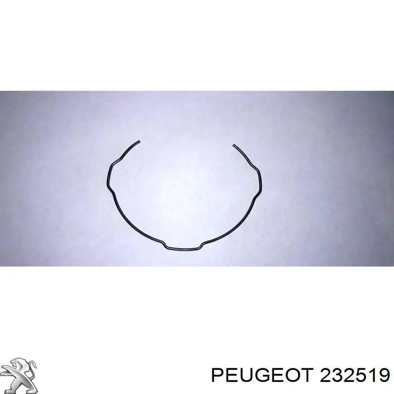 Resorte sincronizador de caja de cambios 232519 Peugeot/Citroen