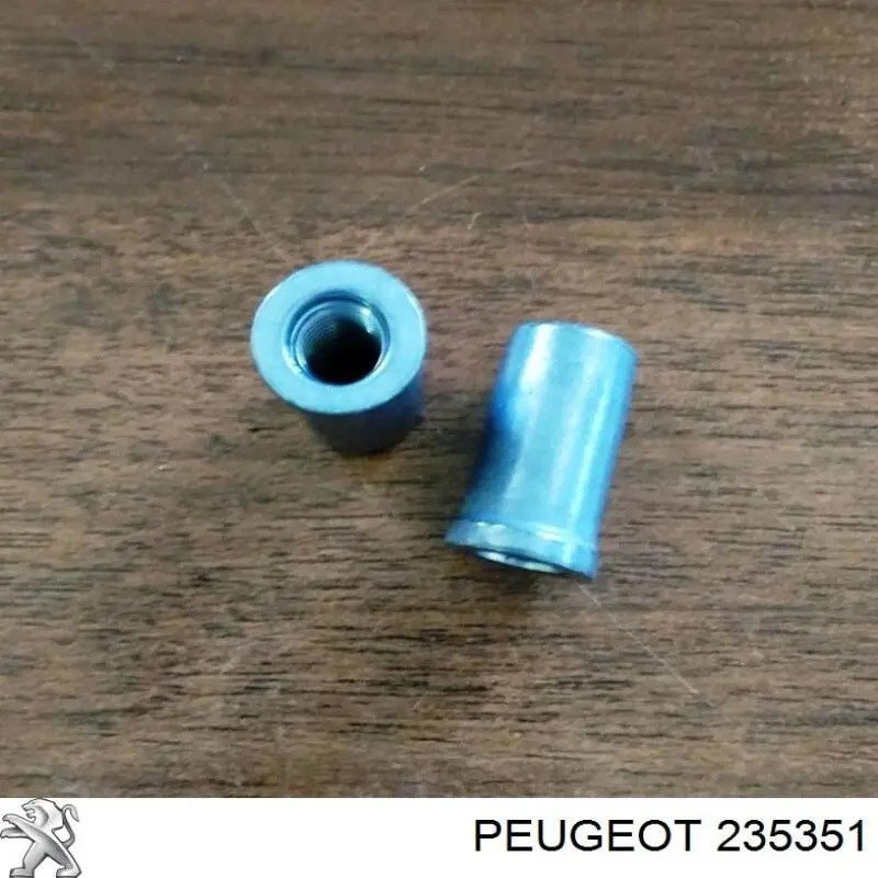  235351 Peugeot/Citroen