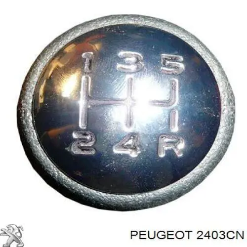 Ручка КПП FT00117 Fast