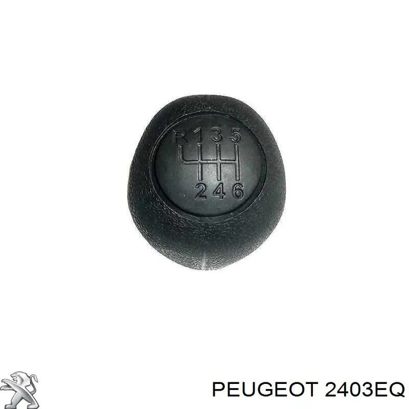 Ручка КПП 2839990 WPI
