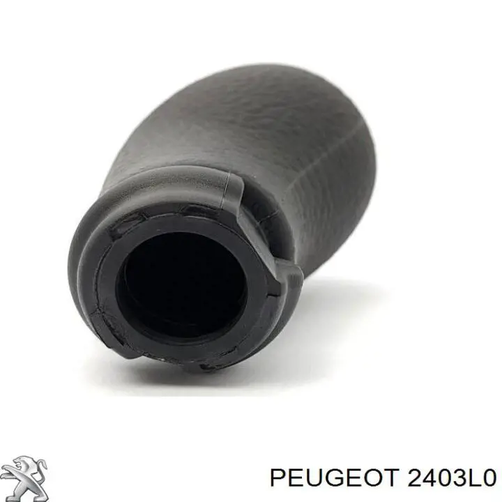 Perilla De Engranaje 2403L0 Peugeot/Citroen