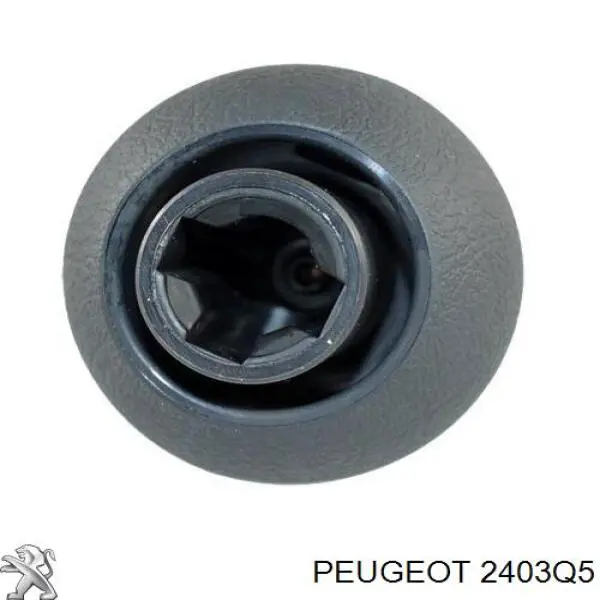 Рукоятка рычага КПП Peugeot/Citroen 2403Q5 цена, от 43.96 USD