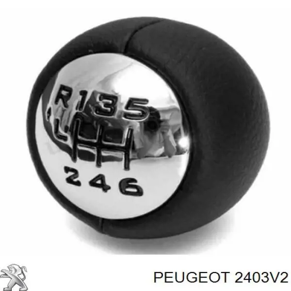 Cabo da avalanca da Caixa de Mudança para Peugeot 307 (3A, 3C)