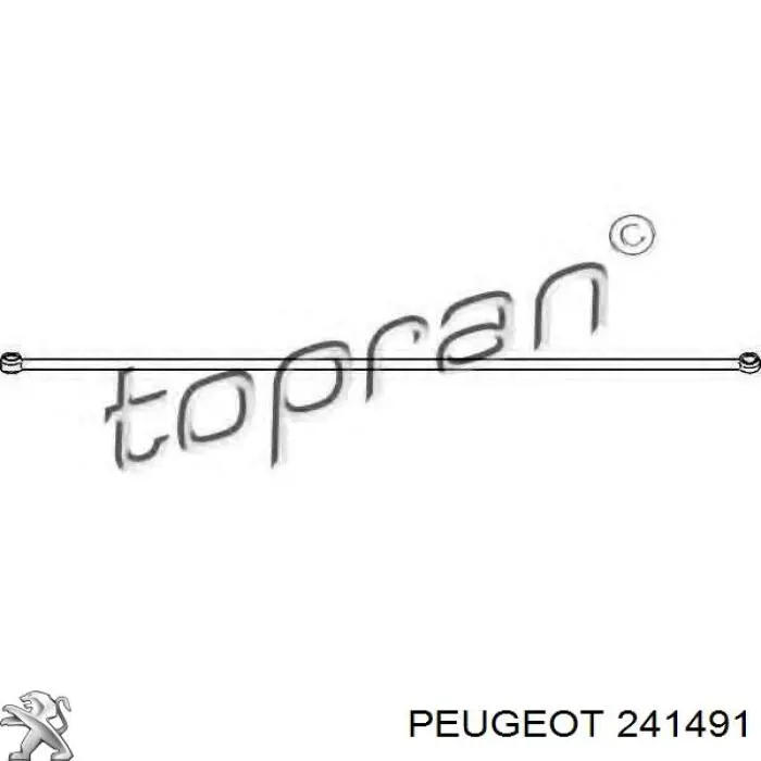 Шток переключения передач КПП 241491 Peugeot/Citroen