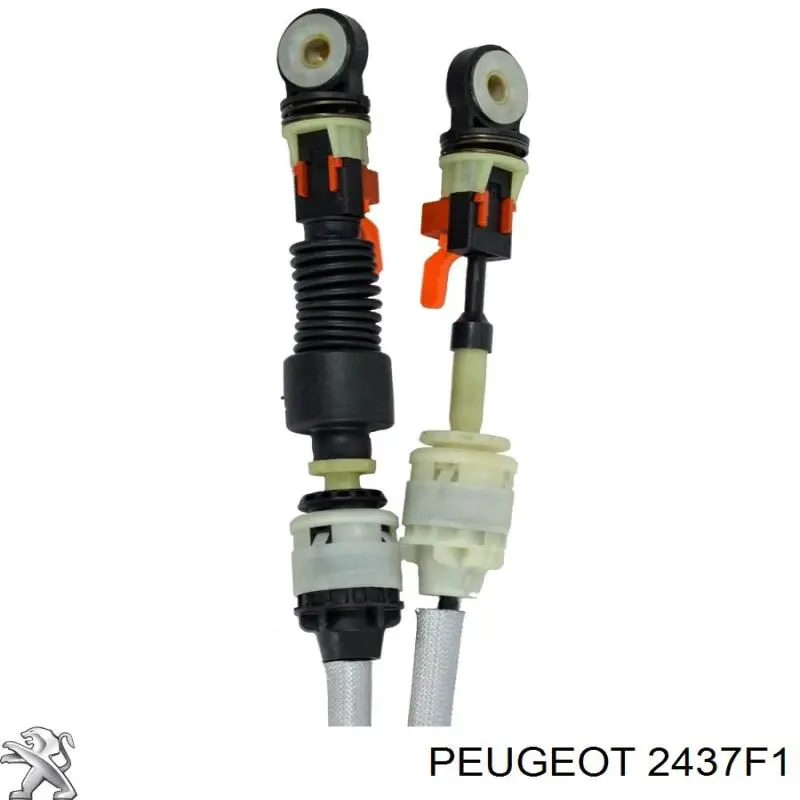 Soporte de fijación de un cable del punto de control 2437F1 Peugeot/Citroen