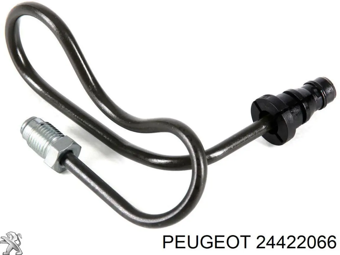 24422066 Peugeot/Citroen mangueira de embraiagem