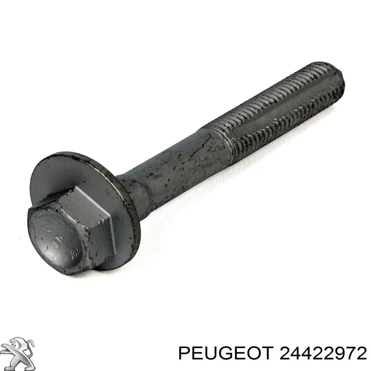Perno de fijación, brazo oscilante Inferior Trasero,Interior 24422972 Peugeot/Citroen