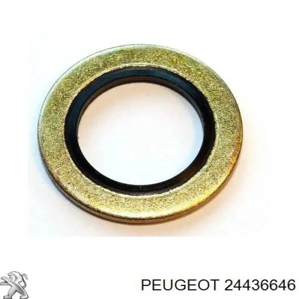 24436646 Peugeot/Citroen vedante anular de mangueira do compressor de retorno