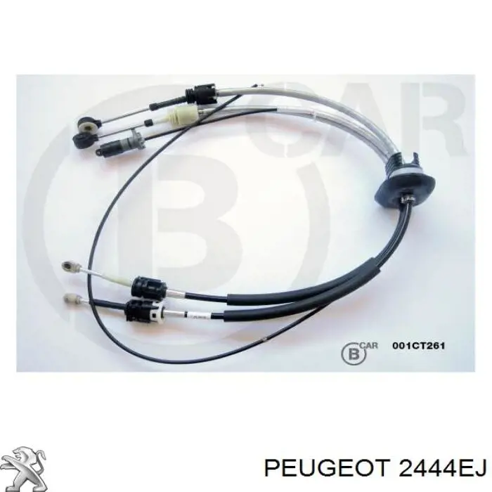 2444EJ Peugeot/Citroen cabo de mudança duplo