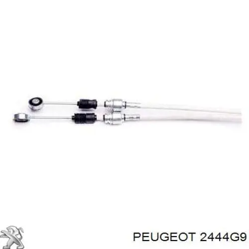 2444G9 PEUGEOT Cables de caja de cambios original y equivalente