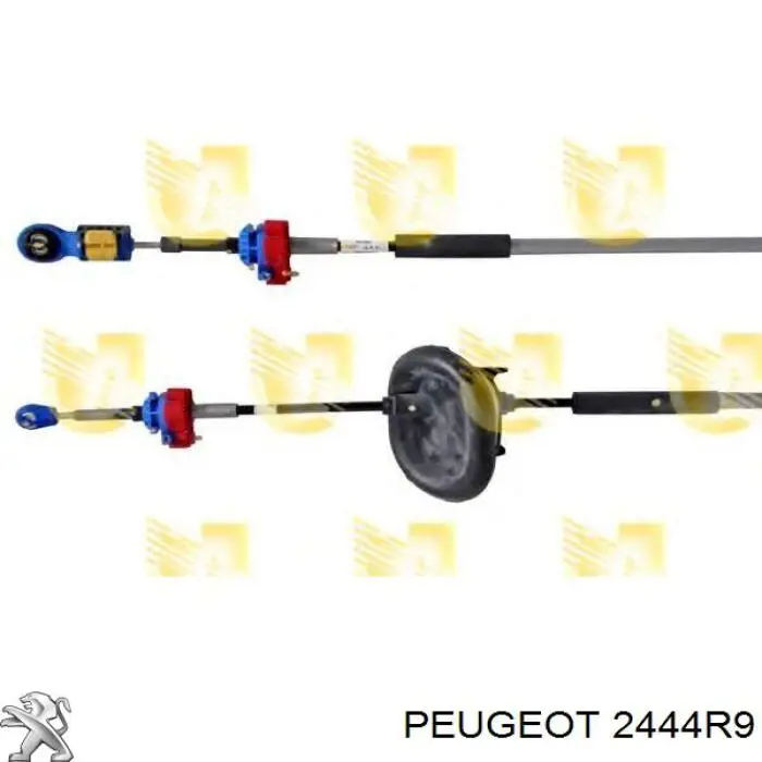 Cable de accionamiento, caja de cambios (selección de marcha) 2444R9 Peugeot/Citroen