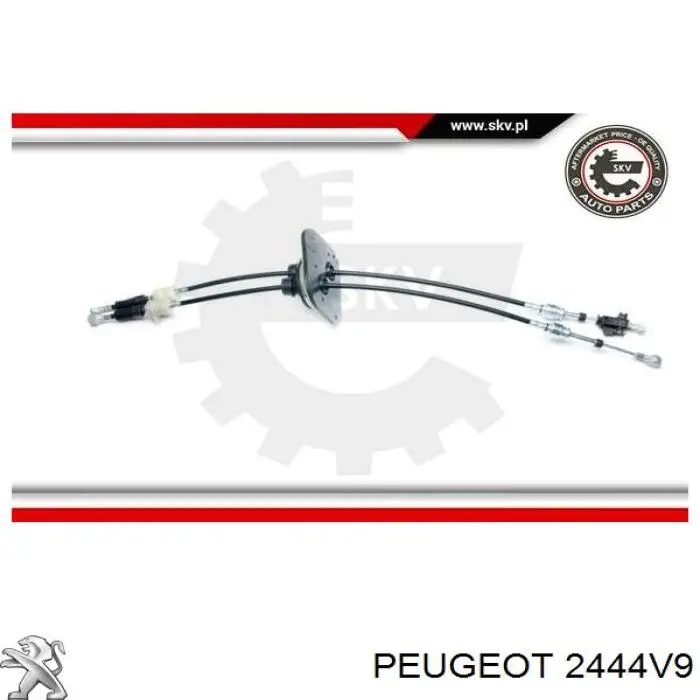 Трос КПП Peugeot/Citroen 2444V9 цена, от 58.15 USD