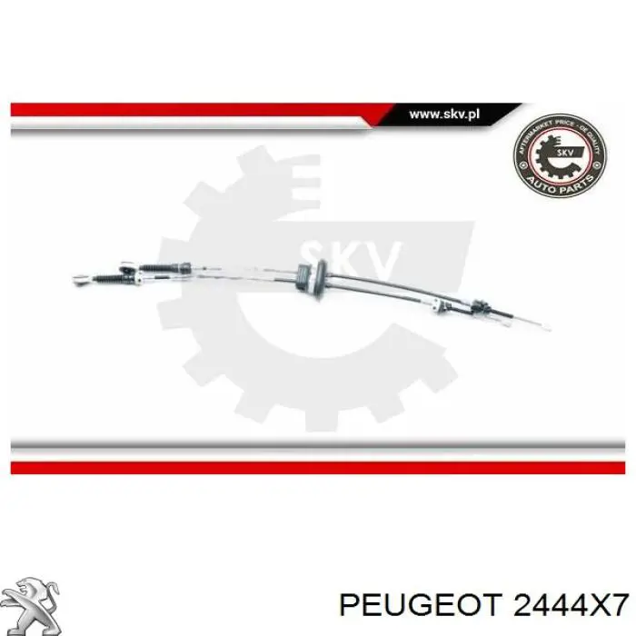2444X7 Peugeot/Citroen cabo de mudança duplo