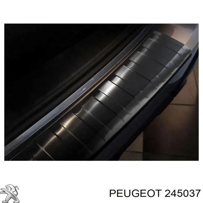  0000245037 Peugeot/Citroen