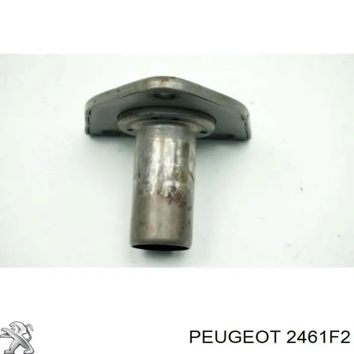 Купить 2461F2 Peugeot/Citroen Гидроаккумулятор АКПП