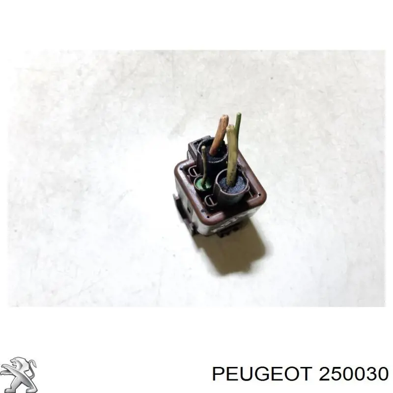 250030 Peugeot/Citroen 