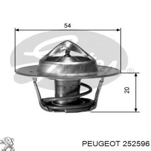 252596 Peugeot/Citroen 