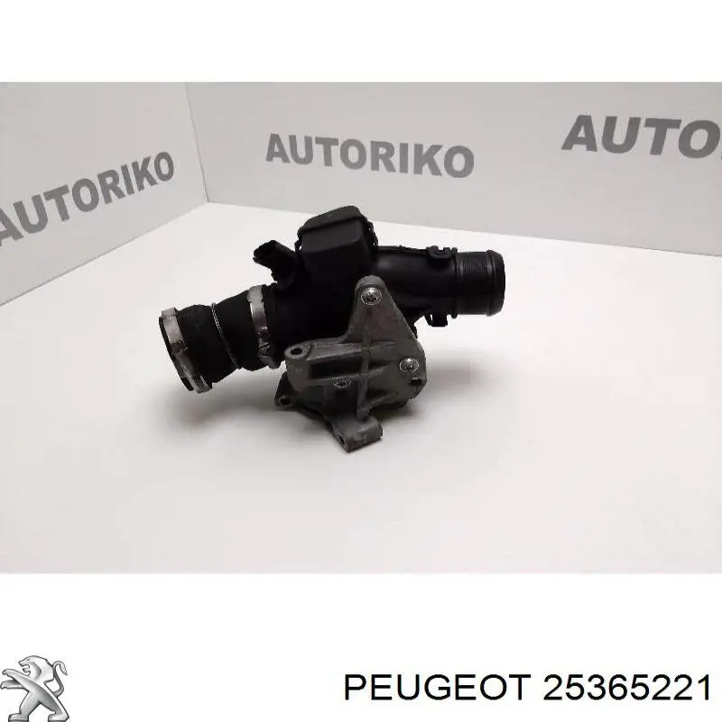  Peugeot/Citroen 25365221 цена, от 21.54 USD