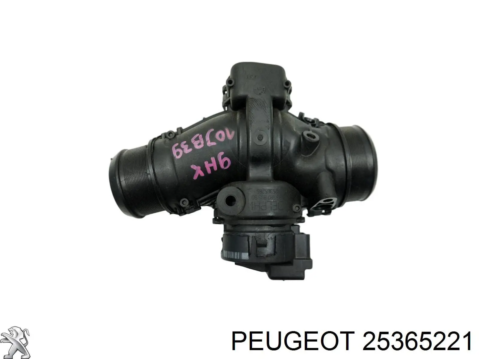 25365221 Peugeot/Citroen 