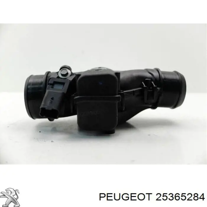Заслонка воздушная Peugeot/Citroen 25365284