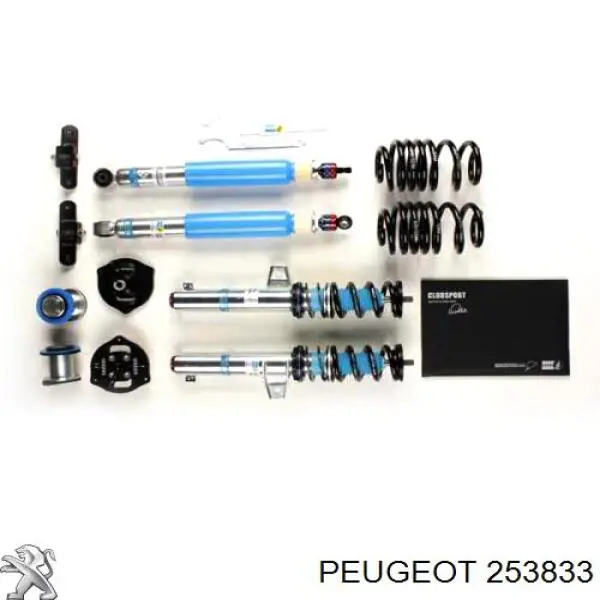253833 Peugeot/Citroen 