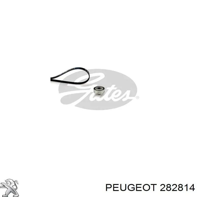 282814 Peugeot/Citroen 