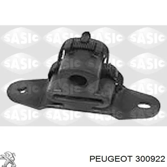 300922 Peugeot/Citroen bucim do semieixo esquerdo do eixo dianteiro