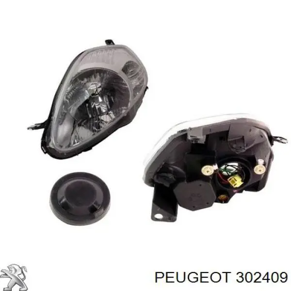 302409 Peugeot/Citroen 