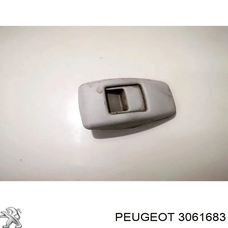 3061683 Peugeot/Citroen 