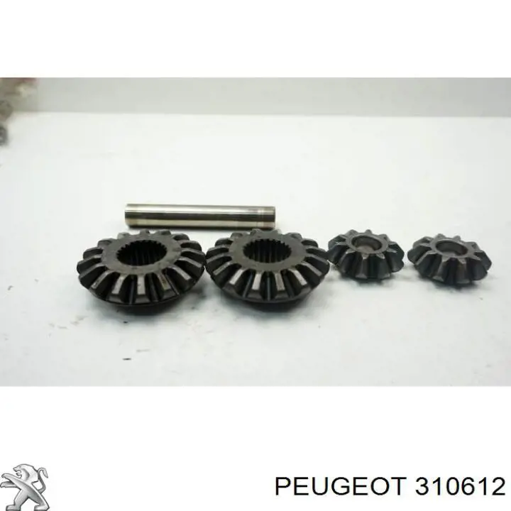  Peugeot/Citroen 310612
